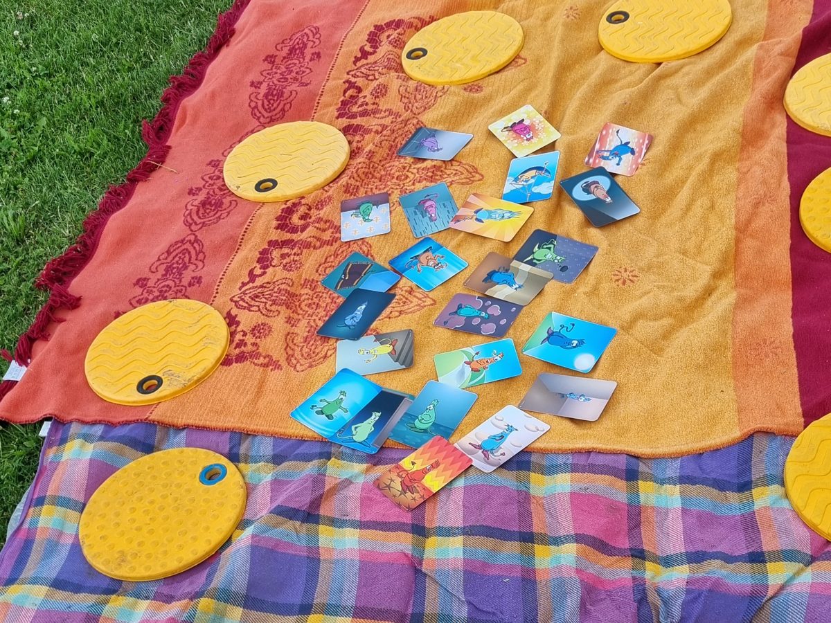 Workshop-Materialien auf Decken im Gras: Karten und Balancescheiben